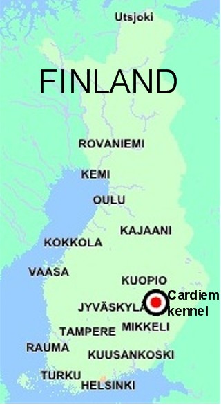 Our location