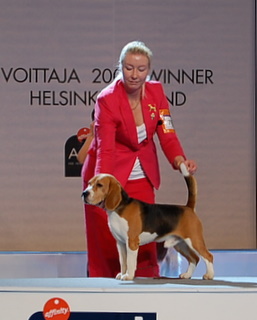 Satu & Jett in the final competitions in Winner 2008-show.
